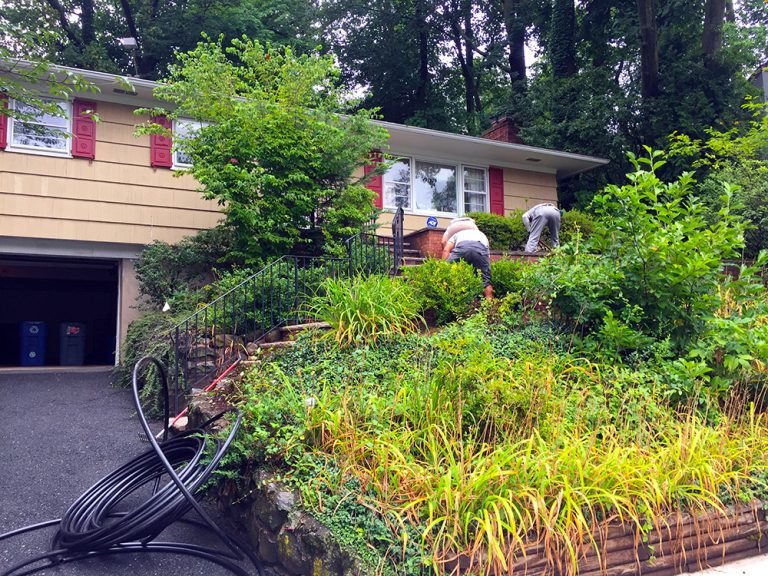 West Orange – Install